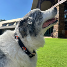 Load image into Gallery viewer, Smathers &amp; Branson Swinging Pete Dog Collar
